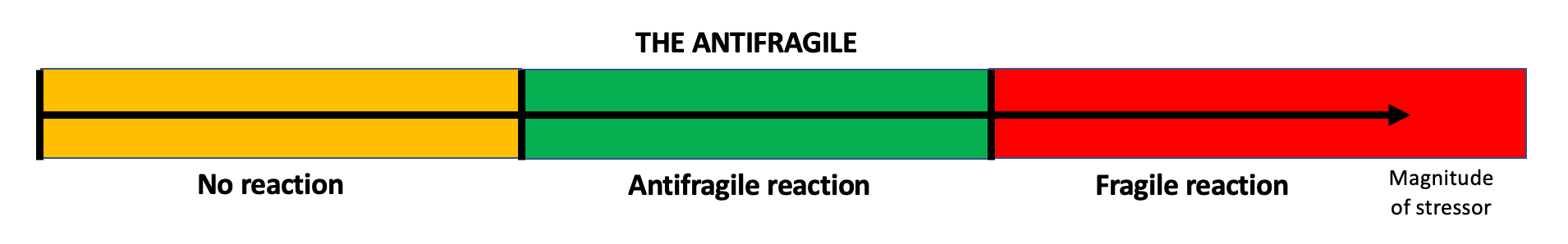 An antifragile entity