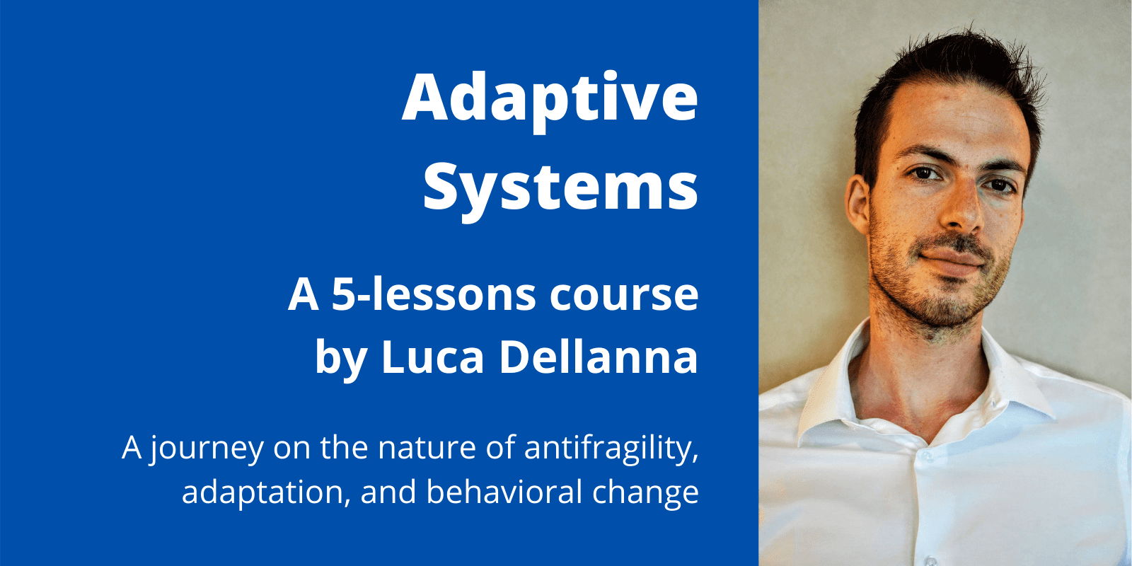 Adaptive Systems