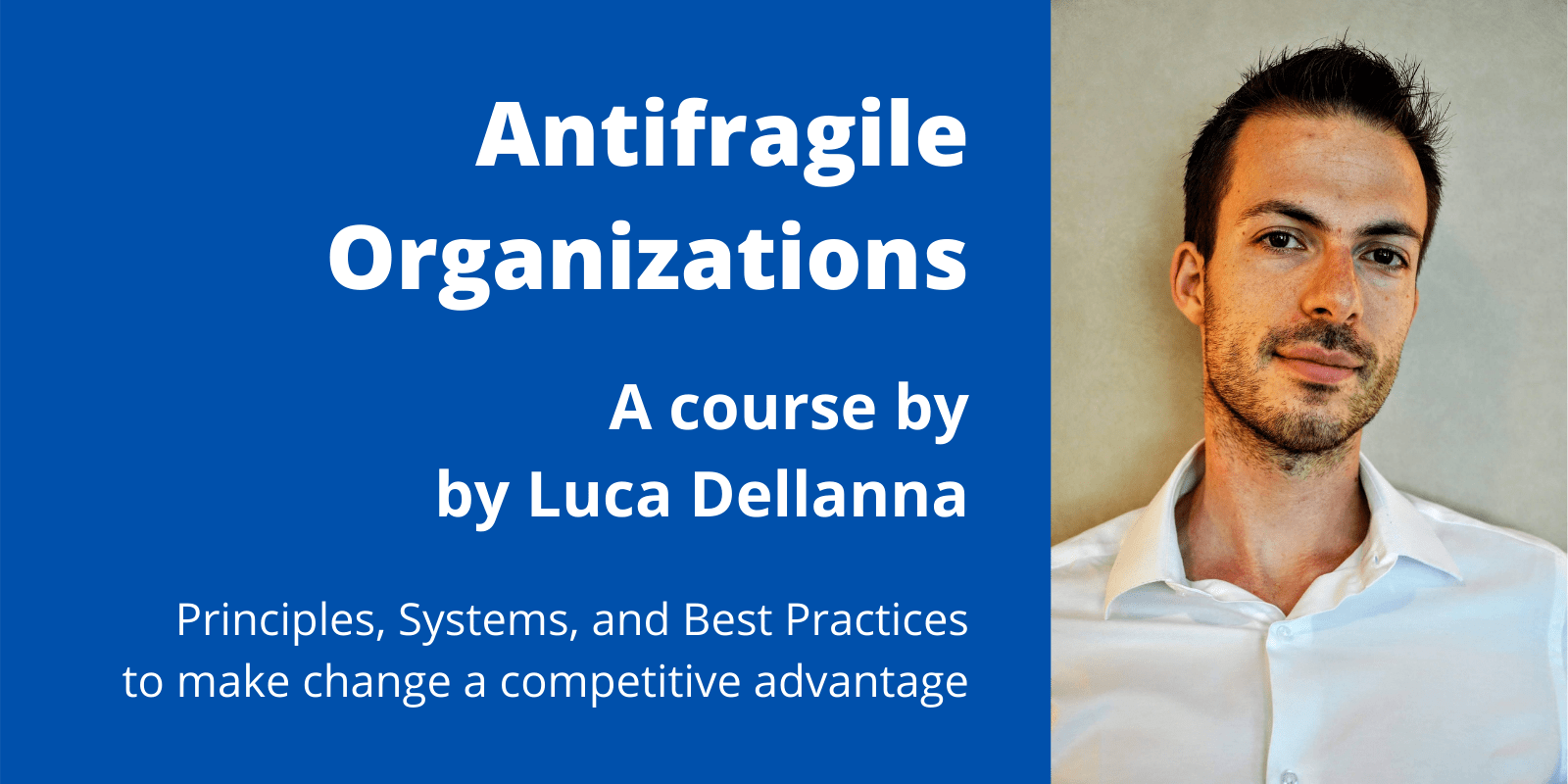 Antifragile Organizations