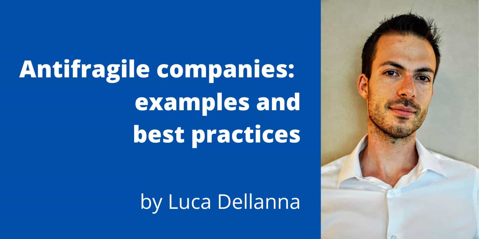 Antifragile Companies Examples And Best Practices